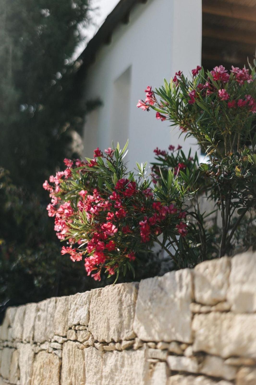 Penzion Cecilias Courtyard Malya Exteriér fotografie